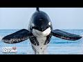Ireland's Wild Atlantic Coast | Undiscovered Vistas 205