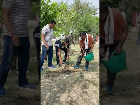 5 जून विश्व पर्यावरण दिवस के दिन व्यग्र फाउंडेशन के साथियों द्वारा पौधा रोपण करते हुए #गौरैयाकालोनी