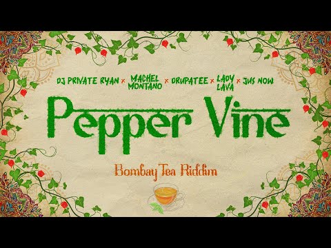 DJ Private Ryan x Machel Montano x Drupatee x Lady Lava x Jus Now - Pepper Vine (Lyrics) | Soca 2025