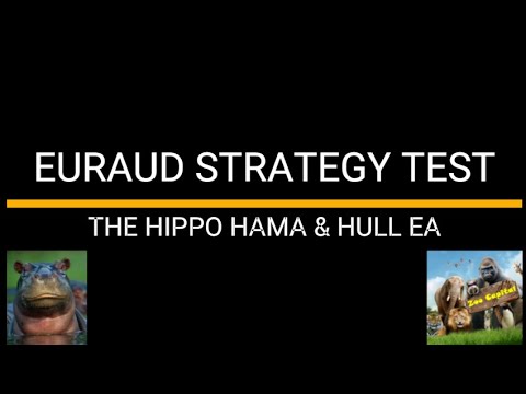 Video Hama and Hull EA for Mt4 by ZooCapital