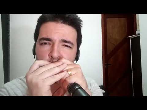 Carinhoso - Gaita - Harmonica (Por Julio Portela)