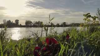 preview picture of video 'Herbst in Mondorf 2013'