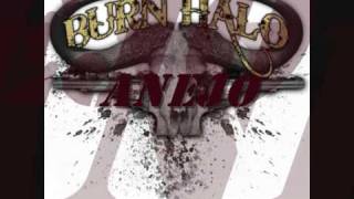 Burn Halo - Anejo