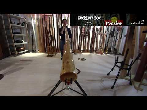 Slide Carlidooskope Cerisier