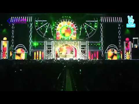 Titanium (luna x ámber)