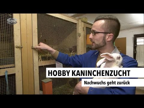 , title : 'Hobby Kaninchenzucht | RON TV |'