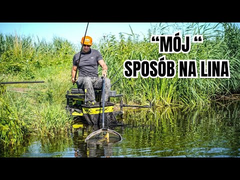 HOW TO CATCH TENCH? Fishing Tips and Tricks!