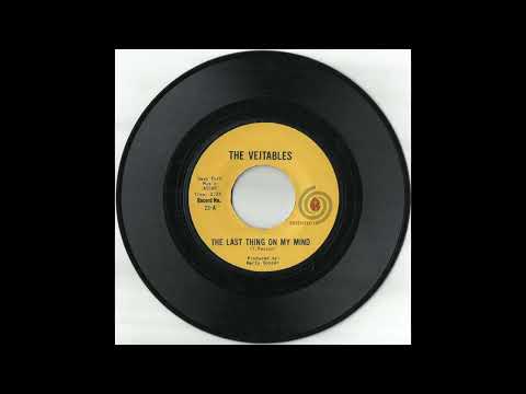 The VEJTABLES - The Last Thing On My Mind (1965)