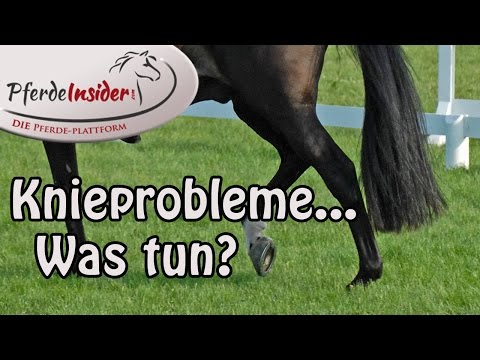 Rückenschmerzen mit Rippenverletzungen Was ist die Grenze Bruch Knöchel