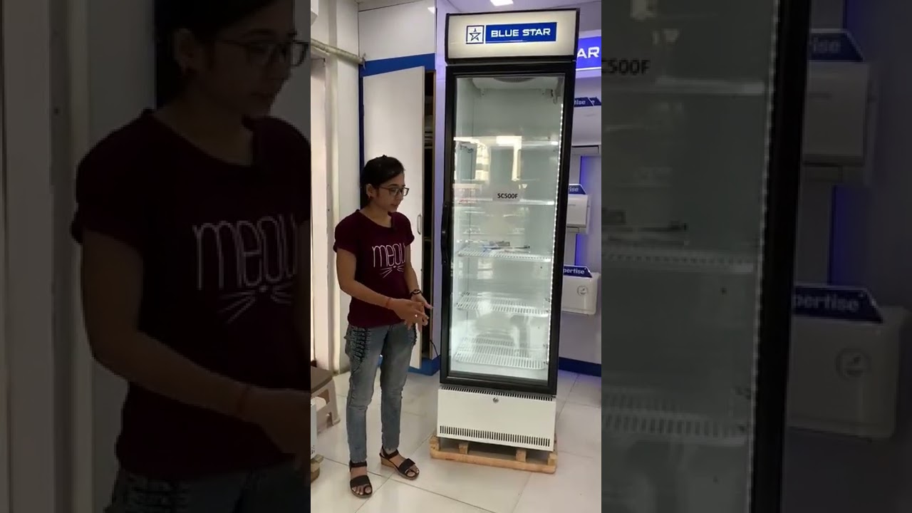 Watch video Bluestar SC500F Super Cooler #commercialrefrigeration #bluestar #supercoolreview #deepfreezer Now Bluestar SC500F Super Cooler #commercialrefrigeration #bluestar #supercoolreview #deepfreezer