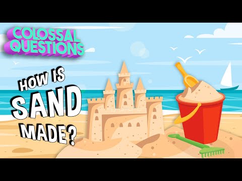 Where Does Sand Come From? | COLOSSAL QUESTIONS