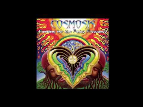 Cosmosis - Live Set