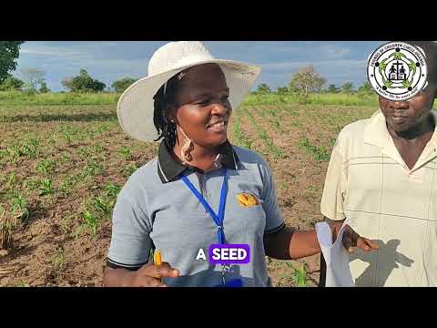 Empower Gulu Farmers with Omel Farm Hub in Uganda