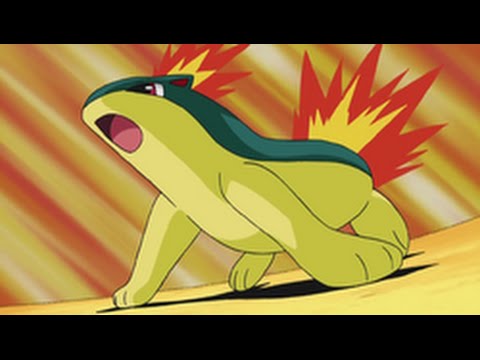 All Ash's Quilava moves