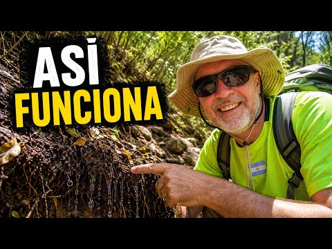 El sendero que me enseño como funciona una cuenca | La Rancherita, Cordoba