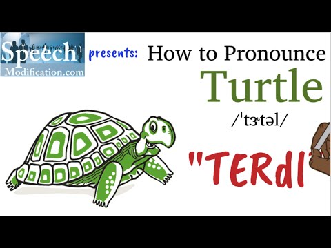 How to Pronounce Turtle