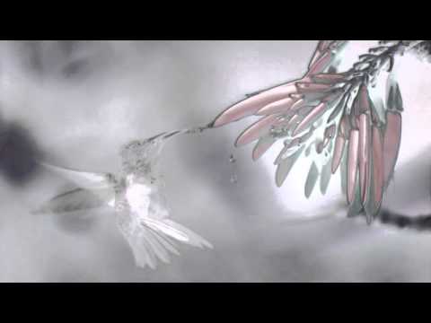 Visual - Sfilata di Davide Grillo