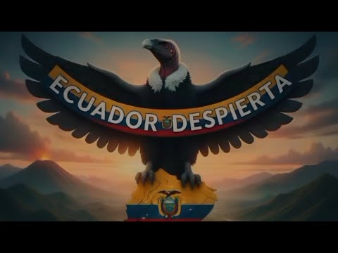 Falso Ecuatoriano - Kodigo MVP