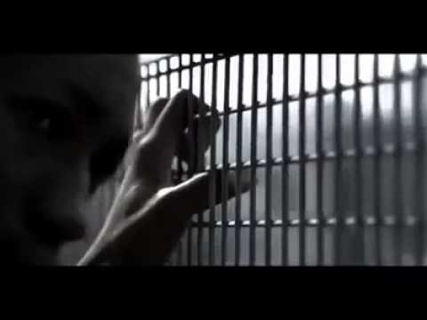 Inspirational Video - There Will Never be a Perfect Time - Take Action Now