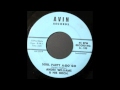 ANDRE WILLIAMS - SOUL PARTY A GO GO