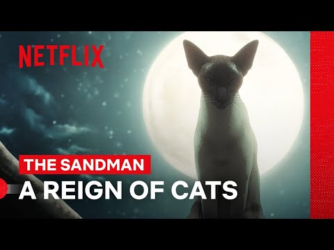 A Dream of a Thousand Cats (The Sandman)