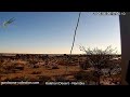 Namibia Live Stream In The Kalahari Desert