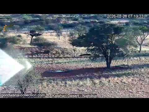 Kalahari Desert thumbnail