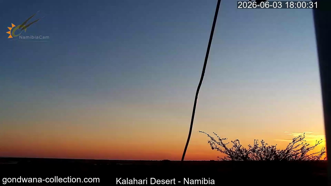 Live webcam view of Kalahari Desert Wildlife Waterhole Cam