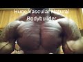 Natural Bodybuilder Troy Climons poses chest,bis