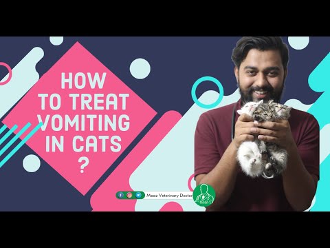 How to treat cat vomiting ? | How to Stop Cat Vomiting ?| Home Remedies for Cat Vomiting
