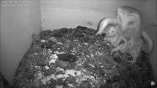 Mahlzeiten in der Gruppe (2-12 Tage)