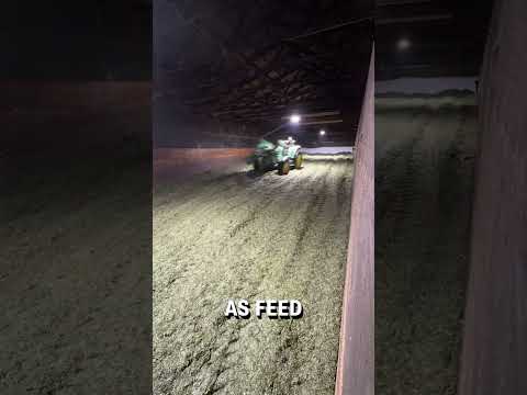 This is how grass silage is harvested 🌾 🚜     🎥: bcdairybros