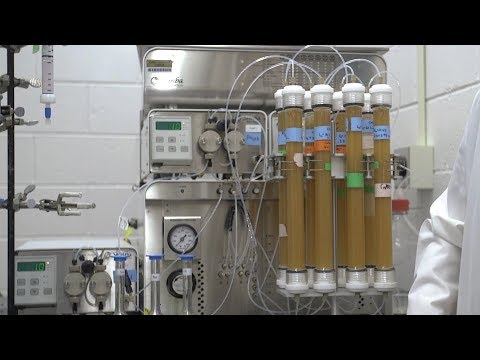 New Technique to Extract Rare Earth Elements from Coal Ash