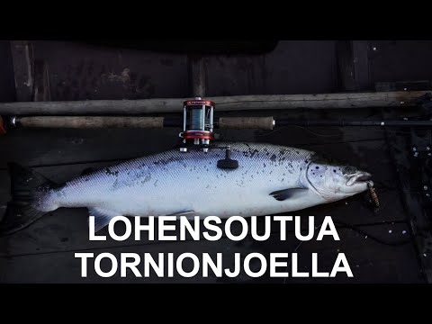 Kesäretki Pelloon. Lohensoutua Tornionjoella ja perunan istutusta.