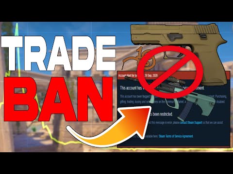 VALVE is BANNING players for Having these SKINS! (AUG Storm INSANITY!) | Counter-Strike