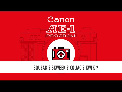 Eliminer le squeak (skweek ? sqouik ? ) des Canon AE1 - AE1P - A1
