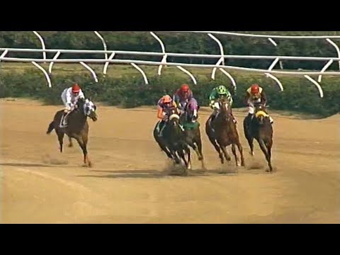 Galoppo Corse del 17 Febbraio 2018