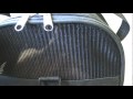 Cinnie A Mute Tabby Goes To The Vet Screaming 3