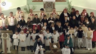preview picture of video 'Vánoční koncert 2014 HD - Pláňata , Pozdní sběr'