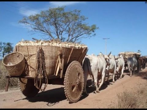Ser Mineiro - Poema de José Batista de Queiroz,  voz de Zé Doradin