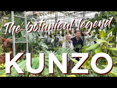 Inside the RAREST Plant 🪴 Nursery in 🇯🇵 Japan - Hanauchu | Private Tour with Master KUNZO Himself!