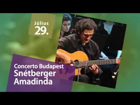 VeszpremFest 2011. invitáló