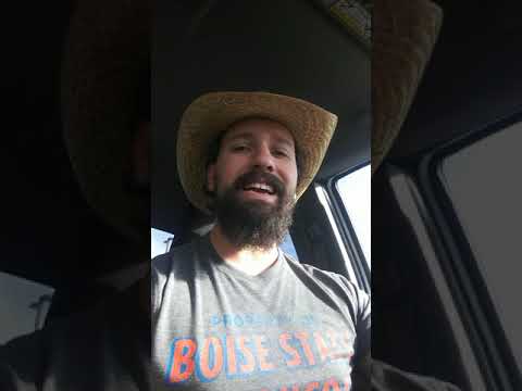 The Last Great Audit on Luxury Bones