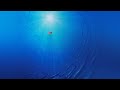 REUPLOAD Thomas Newman Suite Heartfelt Emotional And Relaxing