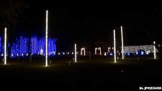 Christmas Light Show 2013 - Amazing Grace (Nashville, TN)
