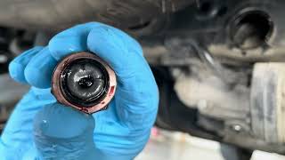 2020-2025 Palisade & Telluride Rear Differential: AWD Coupling Noises