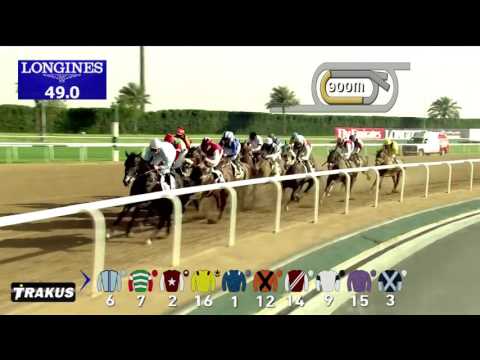 DWC 2016 - Race 2 - Godolphin Mile Sponsored By Meydan Sobha