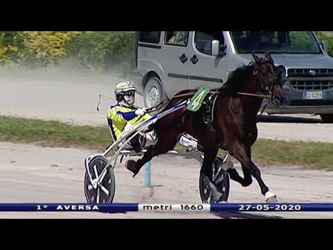 Aversa trotto 27 Maggio 2020 - 1° Corsa