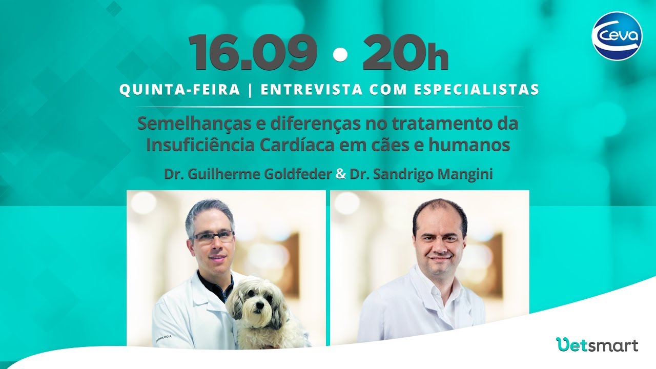 Semelhanças e diferenças no tratamento da insuficiência cardíaca em cães e humanos