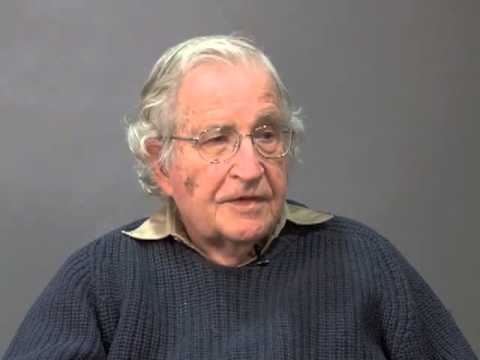 Noam Chomsky on connectomics